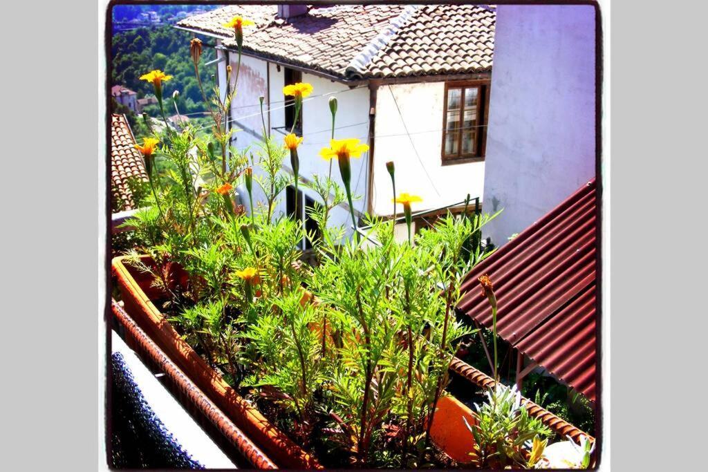 Authentic Guest Stay In The Heart Of Veliko Tarnovo Студио С Изглед Към Царевец Exteriér fotografie